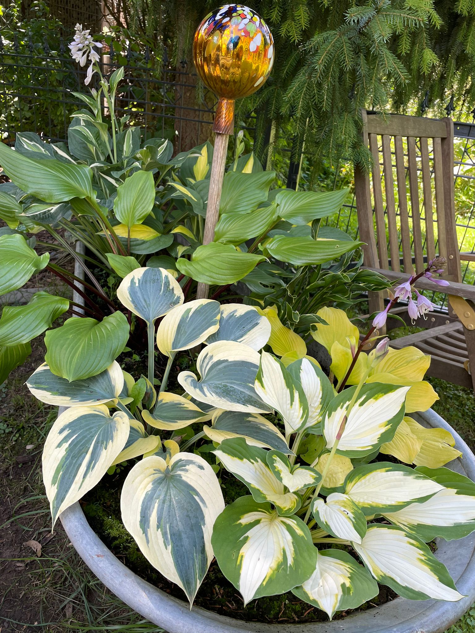 Professionelle Gartenpflege Beispiel - gepflegter Garten in Landshut