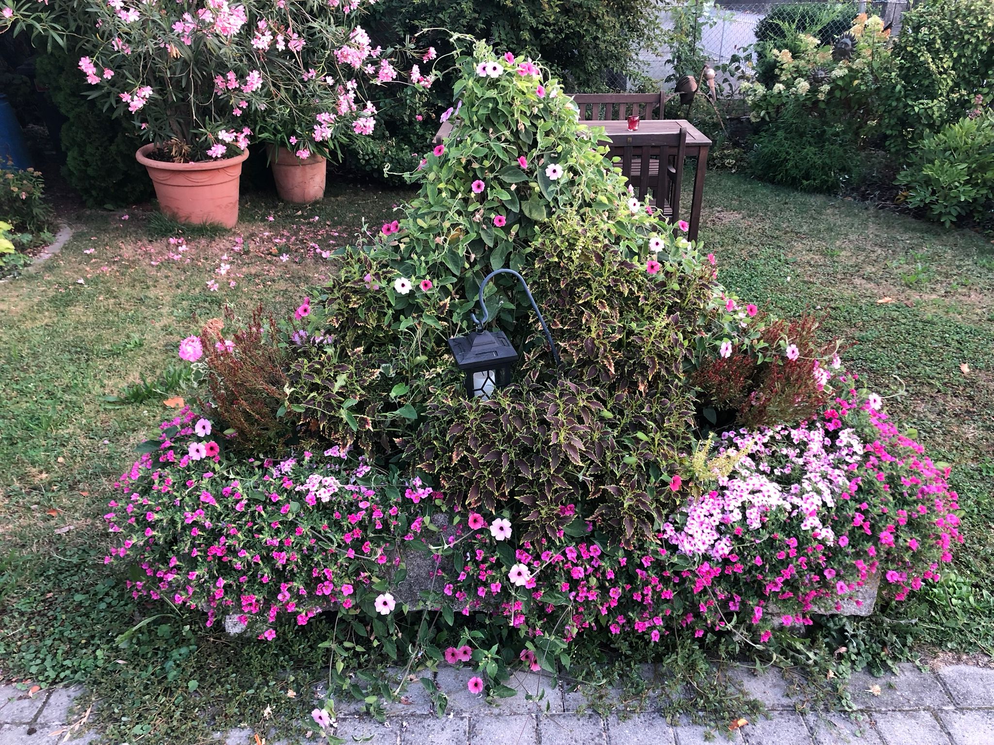 Kreative Beetbepflanzung - farbenfrohe Blütenpracht